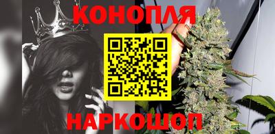 крисы Татарск